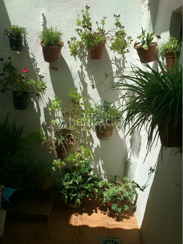 Casa adosada por 65.000 € de 75 metros en calle imagen,4 casa de ...
