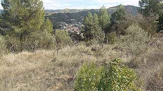 FINCAS BAGES fincas bages: