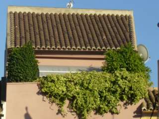 Piso en Calle rey don jaime, 23. Ático dúplex muy luminoso en cheste Piso en Calle rey don jaime, 23. Ático dúplex muy luminoso en cheste