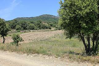 Masía en Poligono,. Masia con vistas idilicas Masía en Poligono,. Masia con vistas idilicas