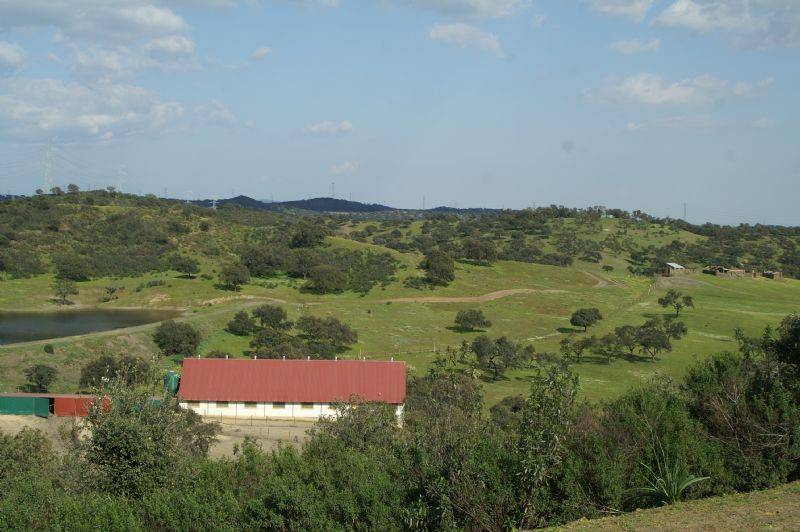 FINCA RUSTICA EXTREMADURA VENTA finca rustica extremadura venta: